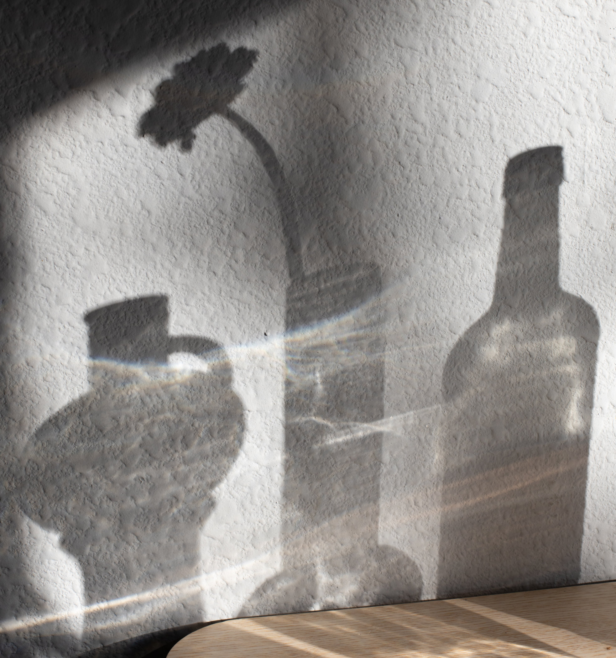 Gegenlicht 